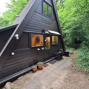 Chalet Sequoia 138 Nature, Piscine Et Chien Bienvenu A Durbuy